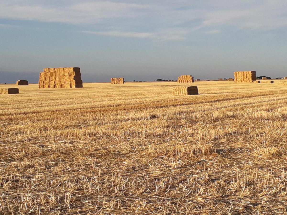 El Pajar De Cigunuela Villa Valladolid Bagian luar foto